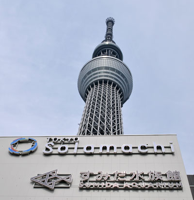 東京スカイツリー57