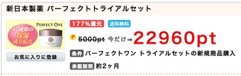 パーフェクトワンポイントインカム案件