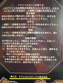 画像2 002