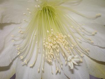 画像1 033