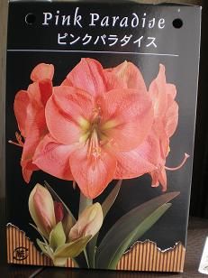 画像2 001