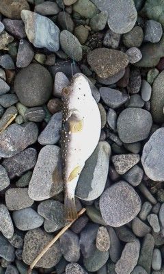 P2016_0620_063024