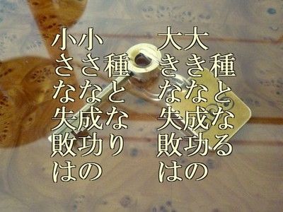 Q9SeaFJwxxMTyVV