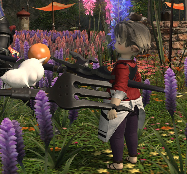 ffxiv_20140211_235908