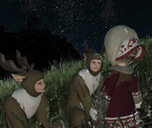ffxiv_20131221_235842