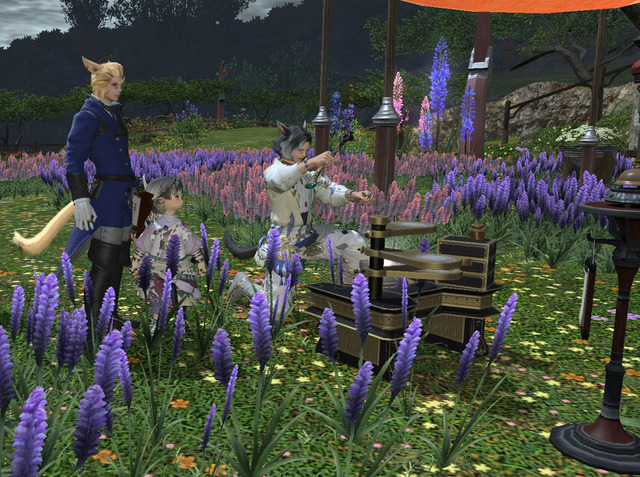 ffxiv_20140121_234232