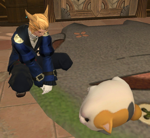 ffxiv_20141207_002451