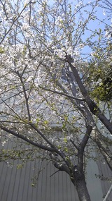 0e613693.jpg