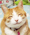 blog_a