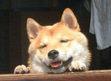 blog_c