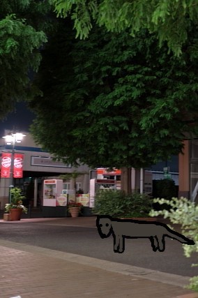 hakubishinGO