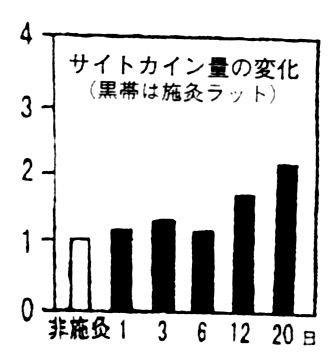 名称未設定 2