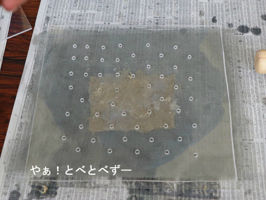 とべ動物園ブログ:媛、ピース、柑太郎、砥々丸、ハヤト、タフ