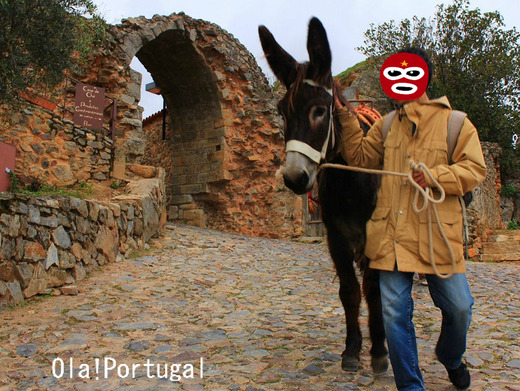 ポルトガル旅行ブログ:Ola! Portugal