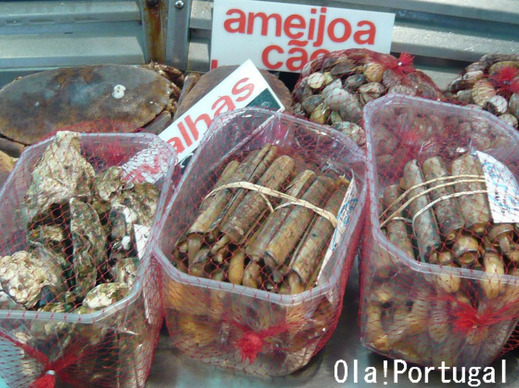 ポルトガルの魚介類:Ameijoa アメイジョア(あさり)