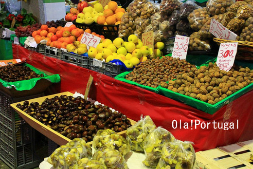 ポルトガル情報&旅行記:Ola!Portugal