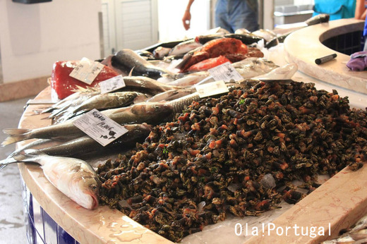 ポルトガルの魚市場:Lagos ラゴス