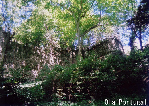 ポルトガル旅行記:Sintra シントラ(ムーアの城跡)