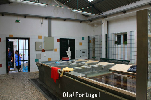 リスボンの個人ガイドのご紹介:ArToursPortugal