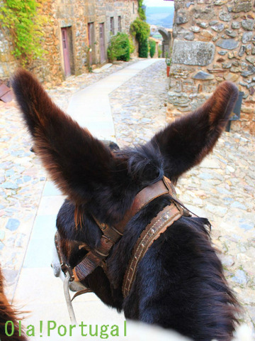 ポルトガル旅行記:Castelo Rodorigo カステロ・ロドリゴ