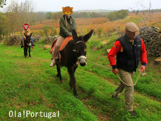 ポルトガル旅行&情報ブログ:Ola! Portugal