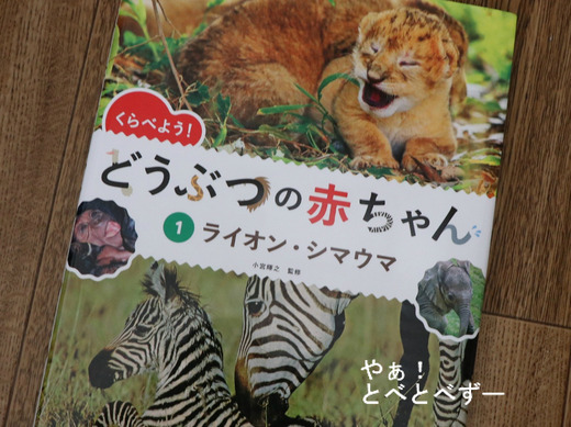 くらべよう!どうぶつの赤ちゃん