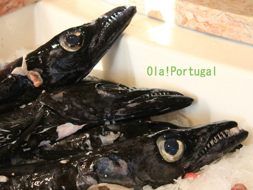 ポルトガル情報&旅行ブログ:Ola! Portugal
