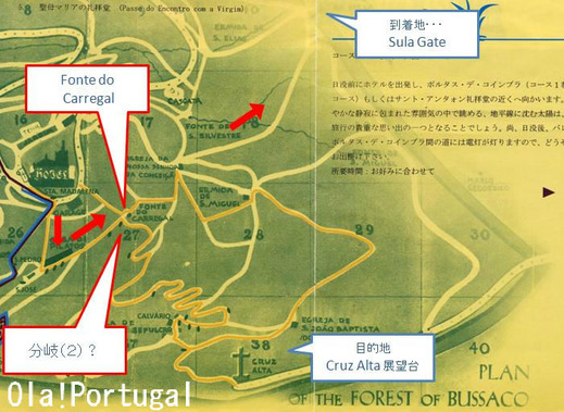 ブサコ森林公園ウォーキングコース地図(迷子に注意)