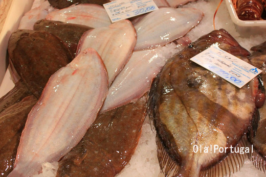 ポルトガルの魚市場に行って来た(アルガルベ地方ラゴス)