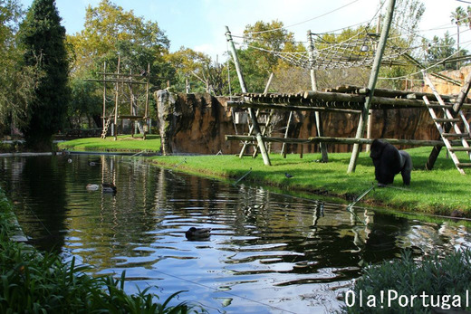海外の動物園の様子:ポルトガル(リスボン動物園)