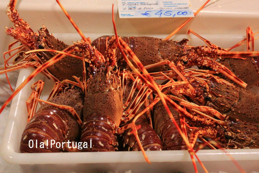 ポルトガル旅行記:ラゴスの魚市場、伊勢海老