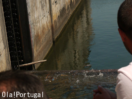 Douro River Cruises (Porto to Pinhao)