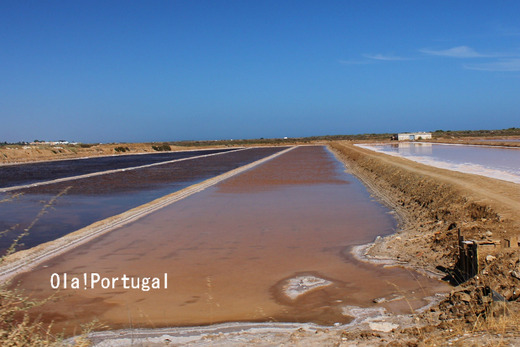 ポルトガルの写真満載のブログ:Ola!Portugal