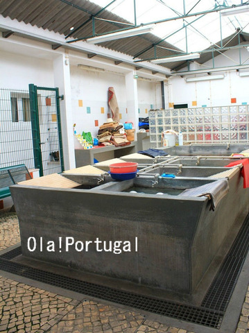 ポルトガル情報&旅行ブログ:Ola! Portugal