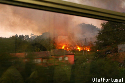 ポルトガルの山火事:線路に火の手が近付く
