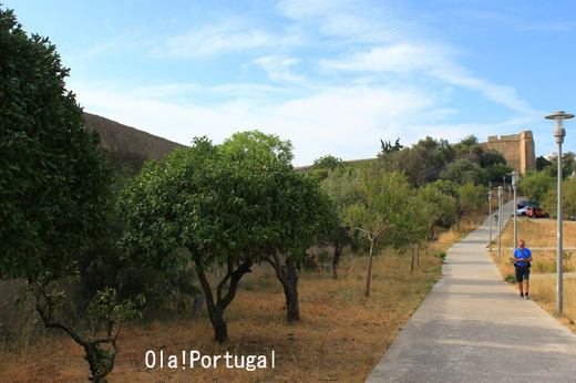ポルトガル情報満載のブログ:Ola! Portugal