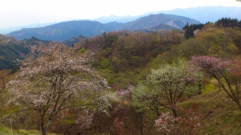 201304020 part7