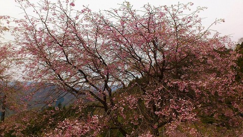 201304020 part5