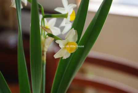 thumb_IMGP2905_1024