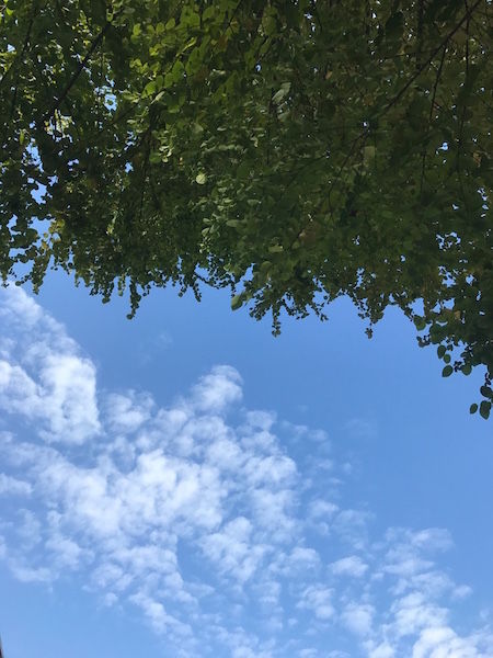 thumb_IMG_0209_1024