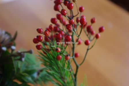 thumb_IMGP2906_1024