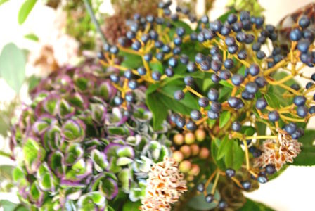thumb_IMGP5689_1024