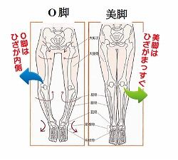 o_bone