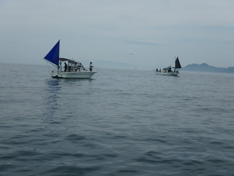 P7091228
