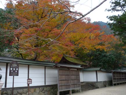 室生寺