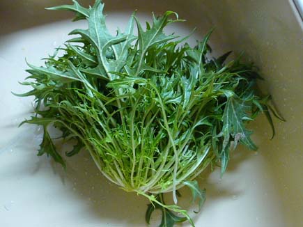 水菜