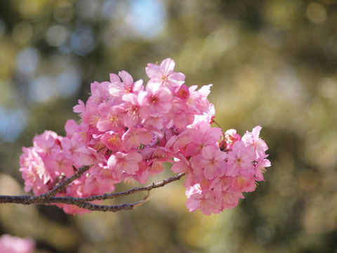 7622f0f78c-2