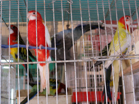 dd788e949e-2
