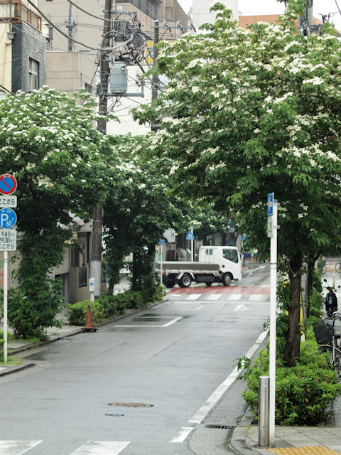 2ade012d53-2