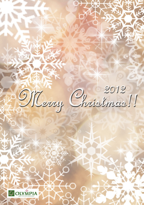 クリスマスカード2012雪 グレー2のコピー